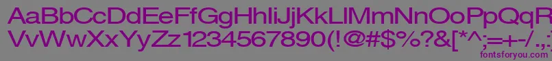 Шрифт Sveningsson – фиолетовые шрифты на сером фоне