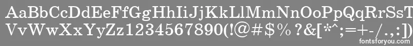 SchoolbookcttRegular Font – White Fonts on Gray Background