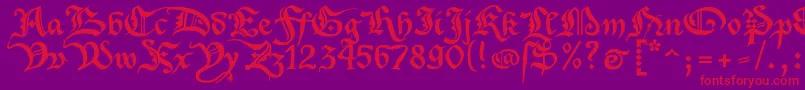 Xenippa Font – Red Fonts on Purple Background