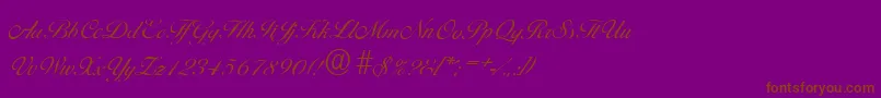 BallantinesserialLightRegular Font – Brown Fonts on Purple Background