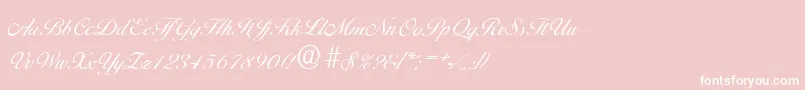 BallantinesserialLightRegular Font – White Fonts on Pink Background