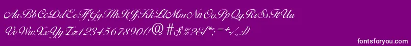 BallantinesserialLightRegular Font – White Fonts on Purple Background
