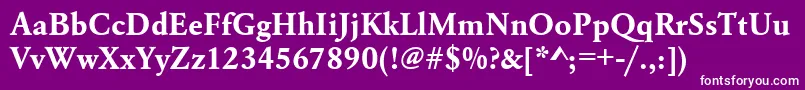 UrwgaramondtBold Font – White Fonts on Purple Background