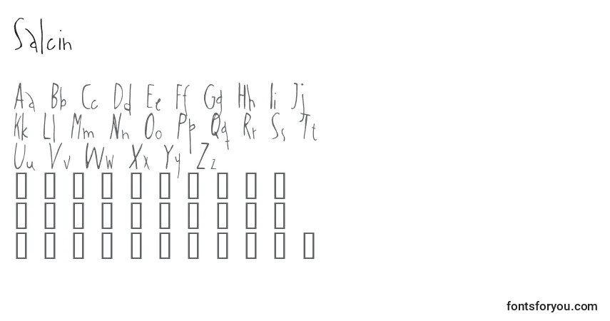 A fonte Salcin – alfabeto, números, caracteres especiais