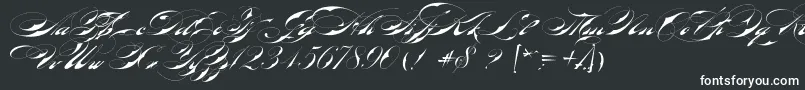 Шрифт BradstoneParkerScriptLimitedFreeVersion – белые шрифты на чёрном фоне
