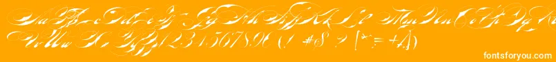 BradstoneParkerScriptLimitedFreeVersion-Schriftart – Weiße Schriften auf orangefarbenem Hintergrund