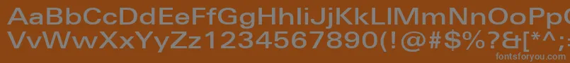 UniversNextProMediumExtended-fontti – harmaat kirjasimet ruskealla taustalla