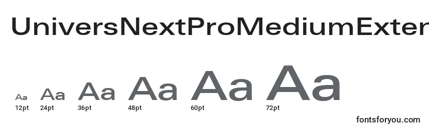UniversNextProMediumExtended Font Sizes