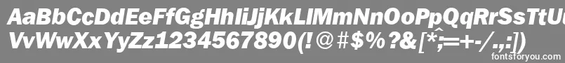 Więcej informacji o czcionce FranklingothicnewHeavyItalic Czcionka FranklingothicnewHeavyItalic – białe czcionki na szarym tle
