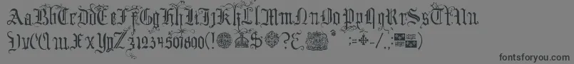 フォントYourRoyalMajestyFancy – 黒い文字の灰色の背景