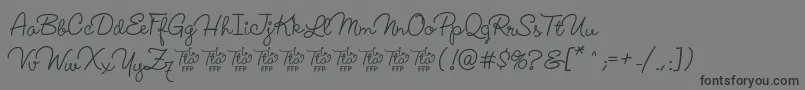 フォントLucemitaFontFfp – 黒い文字の灰色の背景
