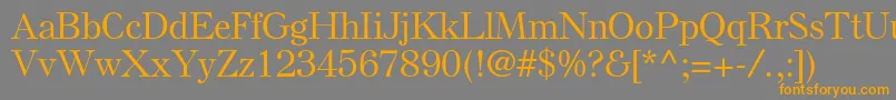 フォントElsenplstdMedium – オレンジの文字は灰色の背景にあります。