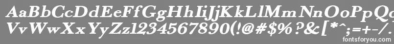 フォントFradexI – 灰色の背景に白い文字