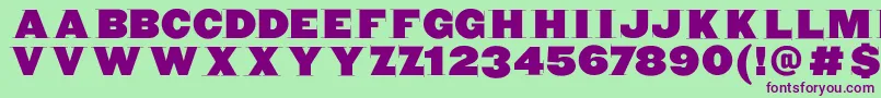 Blaxxerifabeta Font – Purple Fonts on Green Background