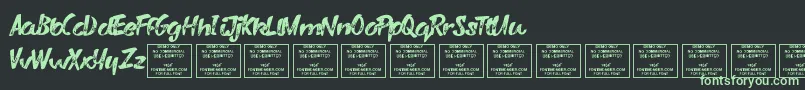 VarysharkyRegular Font – Green Fonts on Black Background