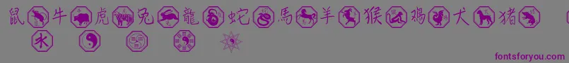 Chinesezodiac-Schriftart – Violette Schriften auf grauem Hintergrund