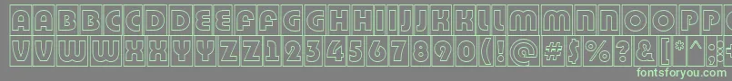 BighaustitulcmgrRegular Font – Green Fonts on Gray Background