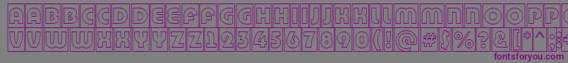 BighaustitulcmgrRegular Font – Purple Fonts on Gray Background