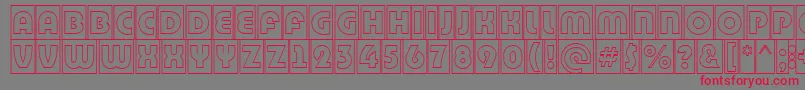 BighaustitulcmgrRegular Font – Red Fonts on Gray Background