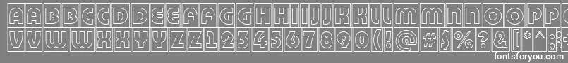 BighaustitulcmgrRegular Font – White Fonts on Gray Background