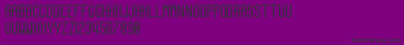 TeamCaptain Font – Black Fonts on Purple Background