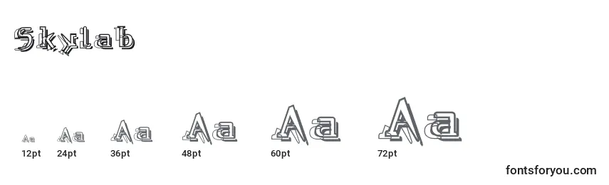 Skylab Font Sizes