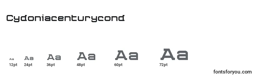 Größen der Schriftart Cydoniacenturycond