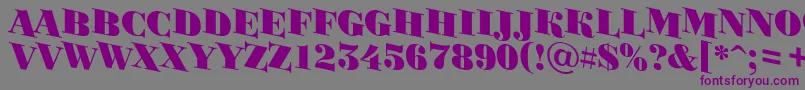 Bodoni2 Font – Purple Fonts on Gray Background