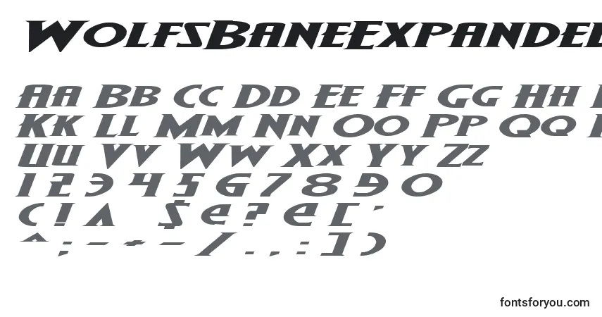 Czcionka WolfsBaneExpandedItalic – alfabet, cyfry, specjalne znaki