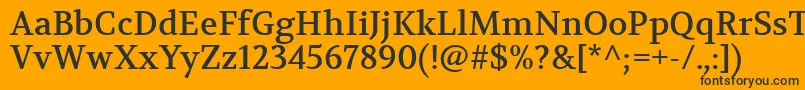 VolkhovRegular Font – Black Fonts on Orange Background