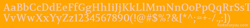 VolkhovRegular Font – Pink Fonts on Orange Background