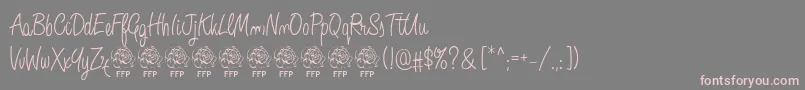 Шрифт AngeliqueRoseFontFfp – розовые шрифты на сером фоне
