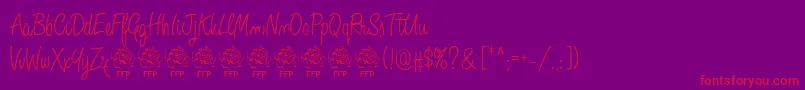 AngeliqueRoseFontFfp Font – Red Fonts on Purple Background