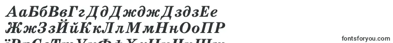Schdlbi Font – Belarusian Fonts