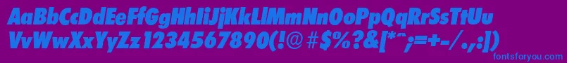 LimerickcdserialHeavyItalic Font – Blue Fonts on Purple Background