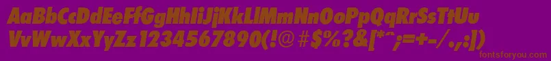 LimerickcdserialHeavyItalic Font – Brown Fonts on Purple Background