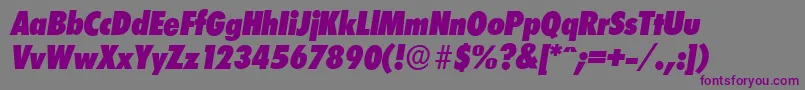 LimerickcdserialHeavyItalic Font – Purple Fonts on Gray Background