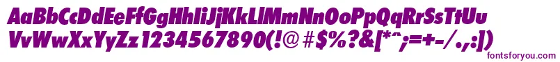 LimerickcdserialHeavyItalic Font – Purple Fonts