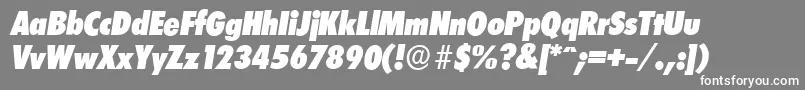 LimerickcdserialHeavyItalic Font – White Fonts on Gray Background