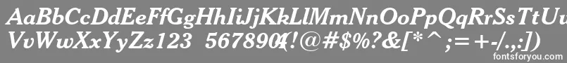 CheltenhamBoldItalicBt Font – White Fonts on Gray Background