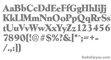GoudyserialHeavyRegular font – Gray Fonts On White Background