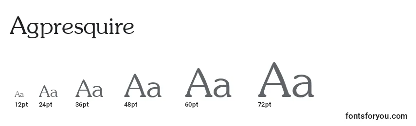Размеры шрифта Agpresquire