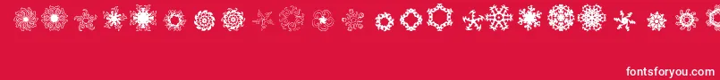 Ladoodles4 Font – White Fonts on Red Background