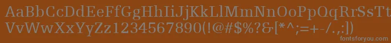 EgyptienneFLt55Roman Font – Gray Fonts on Brown Background