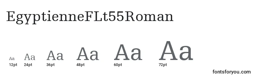 Größen der Schriftart EgyptienneFLt55Roman