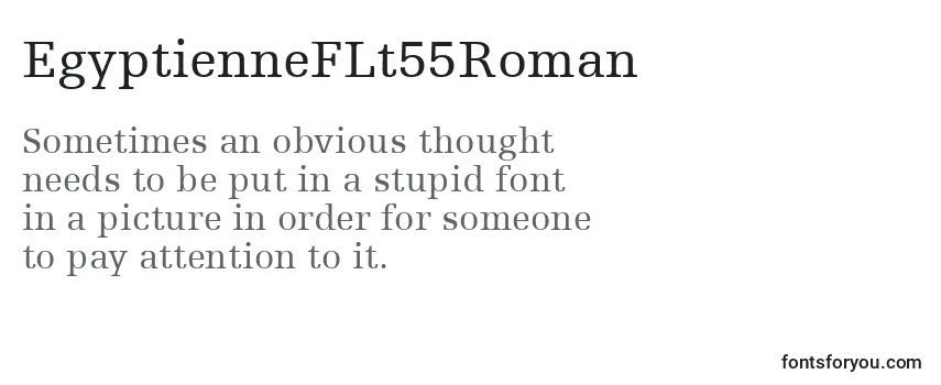 Шрифт EgyptienneFLt55Roman