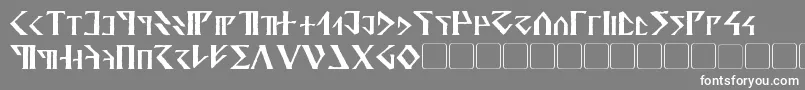 フォントDavek – 灰色の背景に白い文字