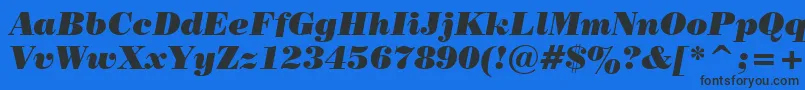 PosterBodoniItalicBt Font – Black Fonts on Blue Background