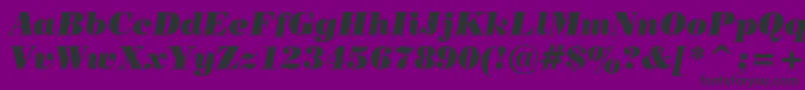 PosterBodoniItalicBt Font – Black Fonts on Purple Background