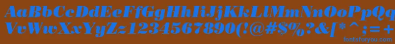 PosterBodoniItalicBt Font – Blue Fonts on Brown Background